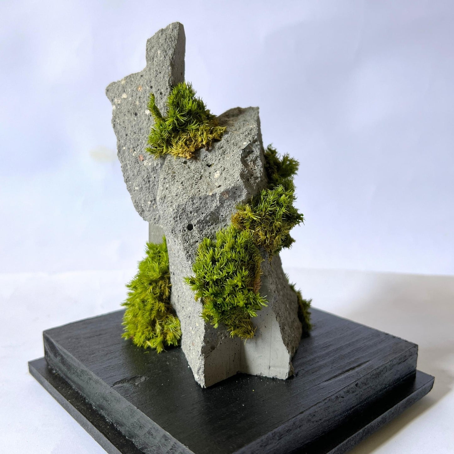 Moss Decorative Objects